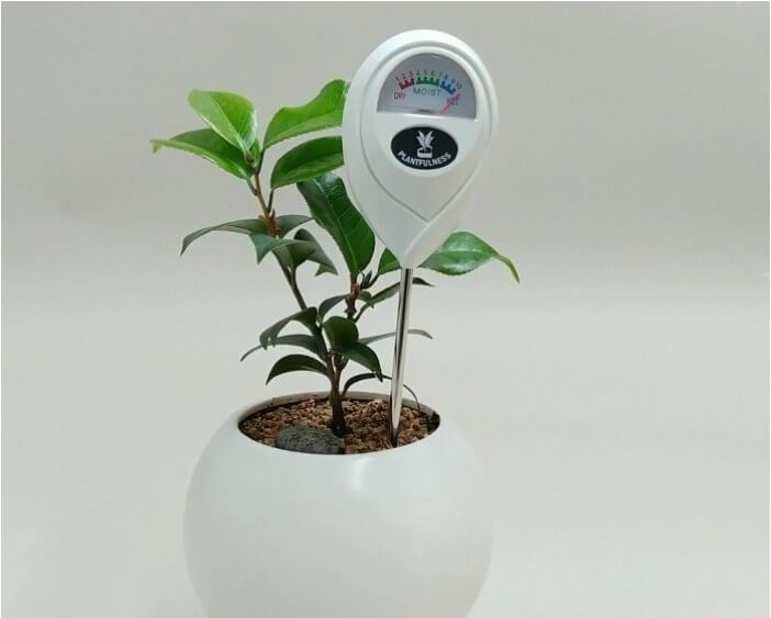 식물 눈금 물주시개가 화분에 꽂혀있다.