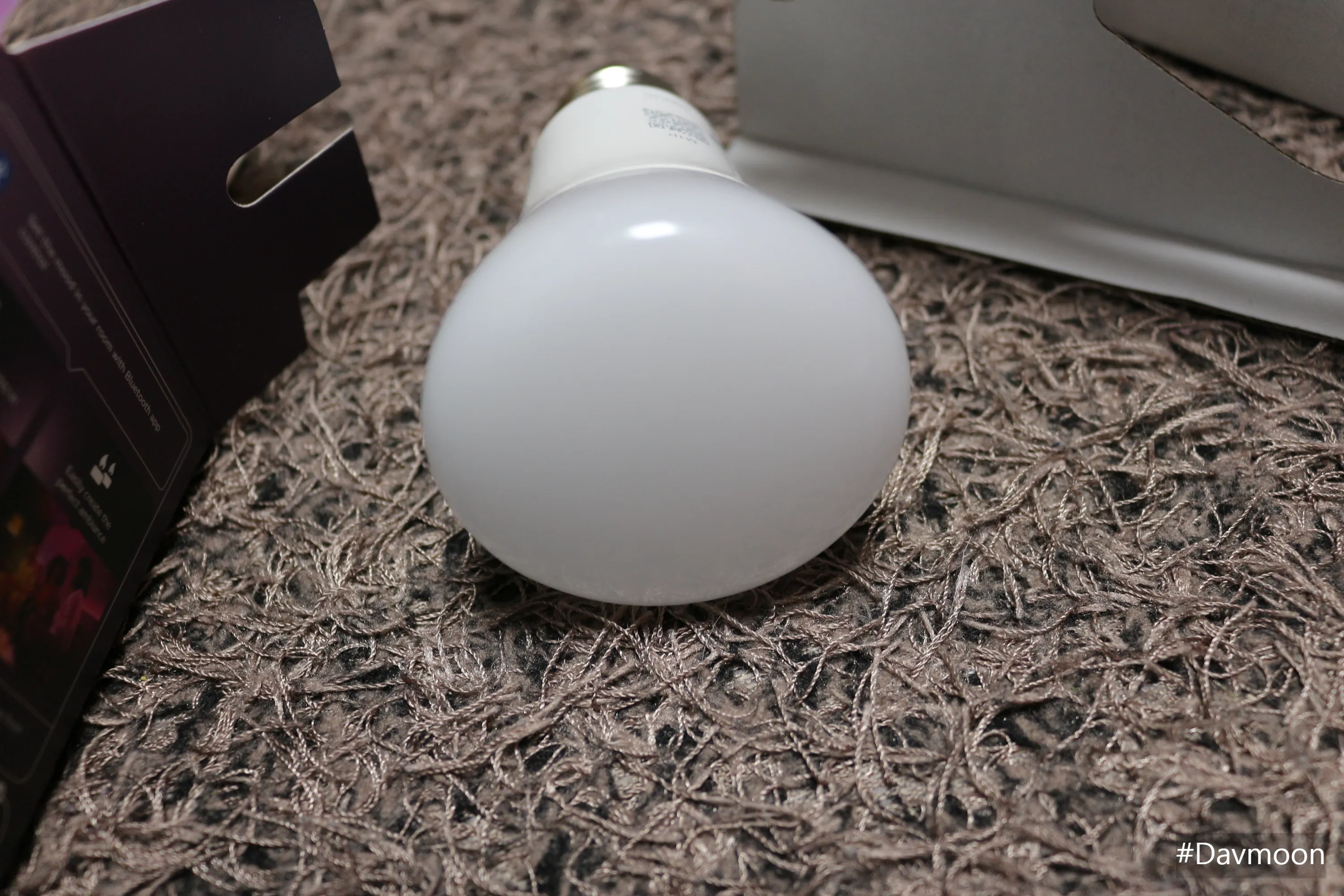 전구 단품 모습