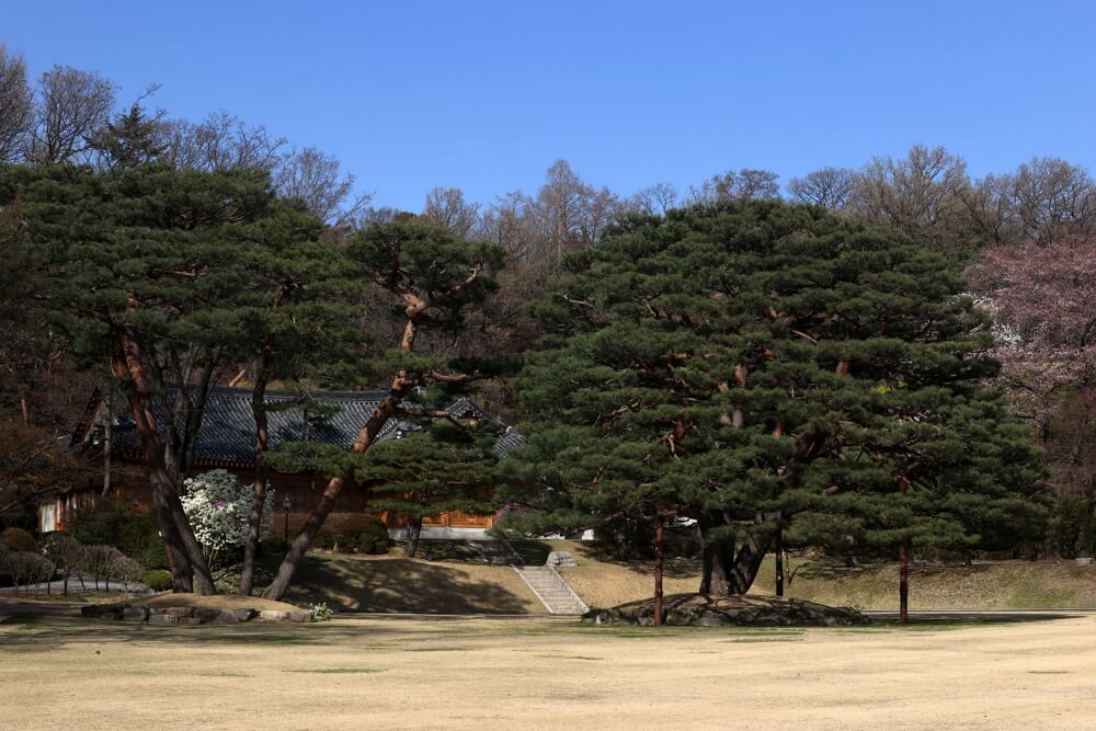 청와대 사진