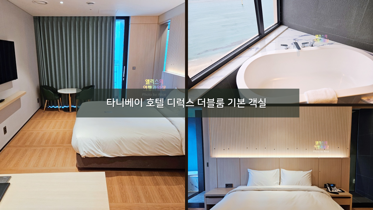 울산 전객실 오션뷰 숙소 타니베이 호텔 디럭스 더블룸 기본 객실 후기 + 조식