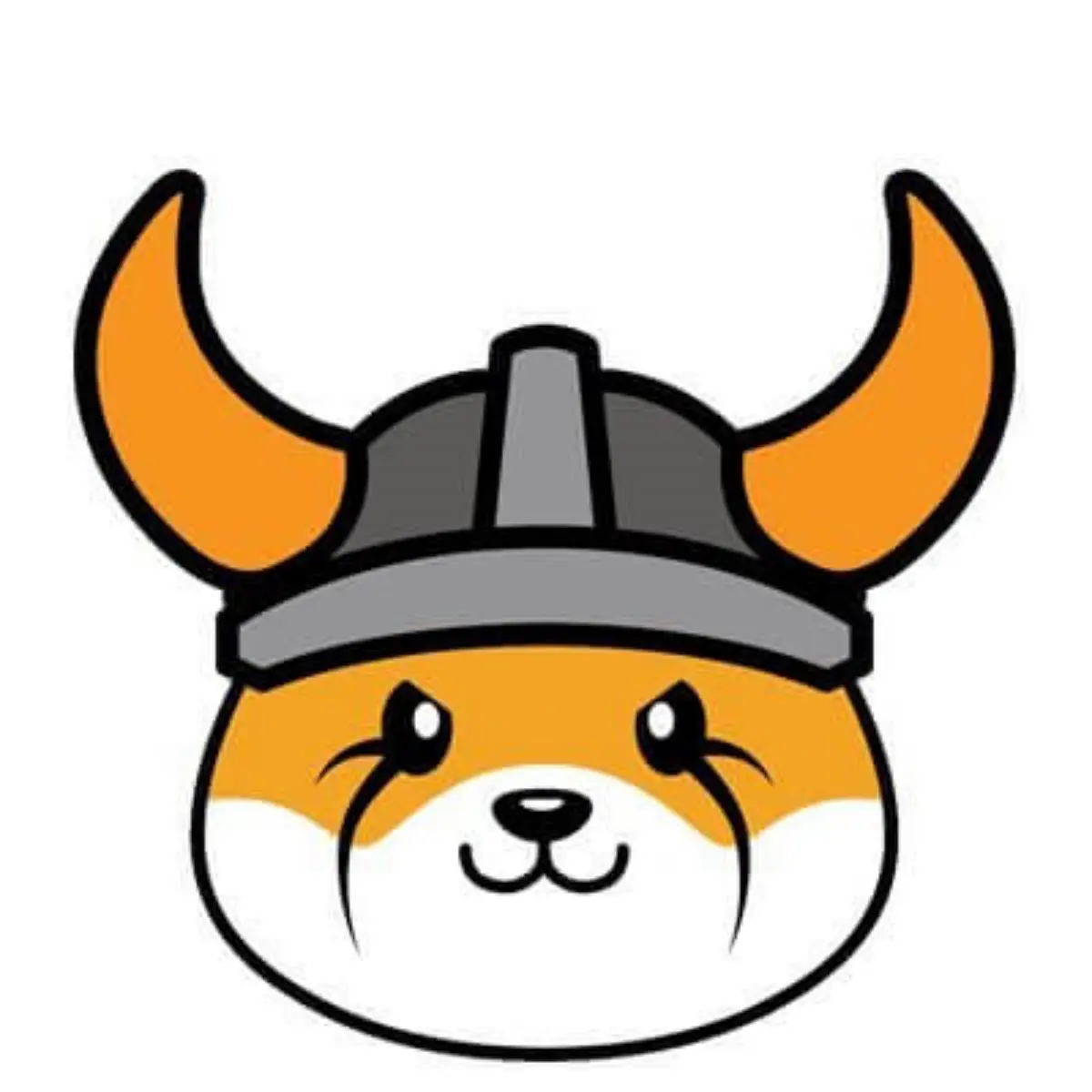 플로키코인-사진