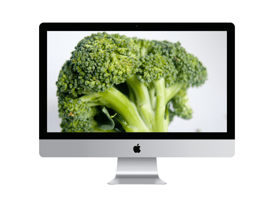 당뇨에-좋은-야채-브로콜리