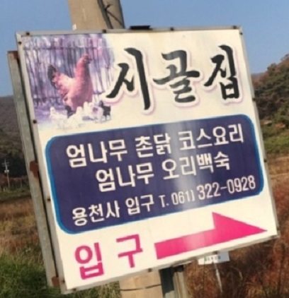 함평-촌닭코스-엄나무백숙-시골집-용천사입구
