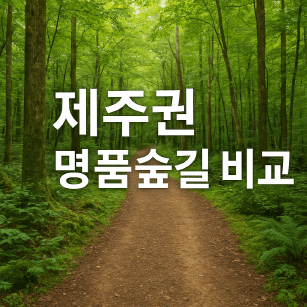 명품숲길 50선, 제주권 숲길 비교 : 곶자왈부터 사려니숲길까지 총정리