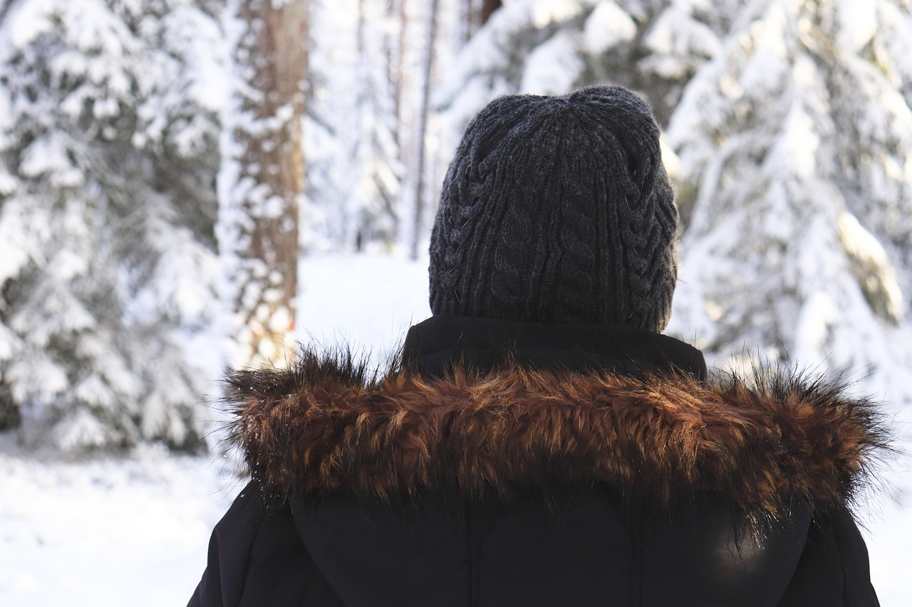 파카와 패딩 차이점 정리 (구조, 충전재, 기능성) 관련 사진