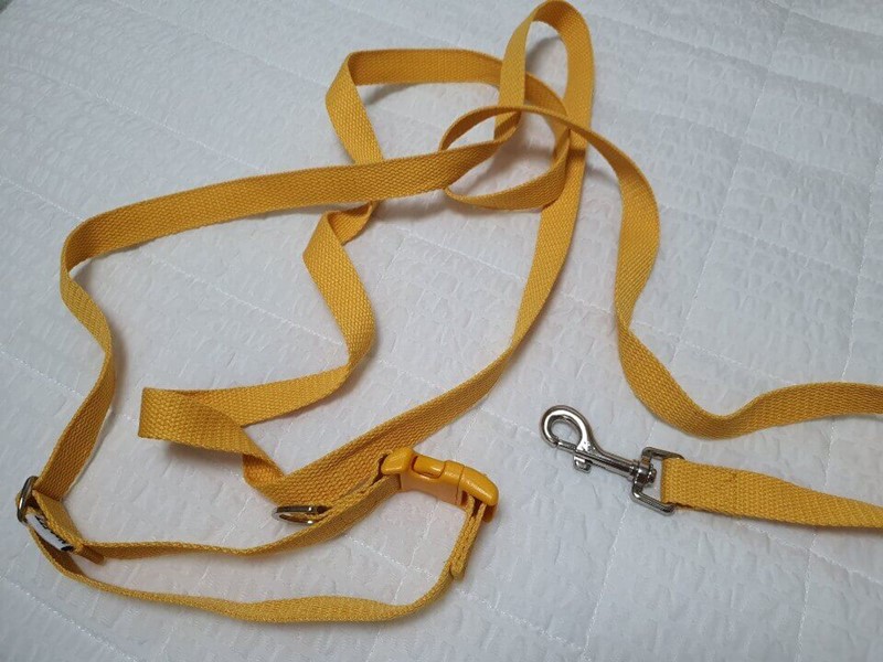 강아지 리드줄 사진2