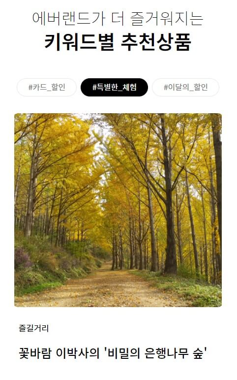 에버랜드 은행나무숲 예약하기