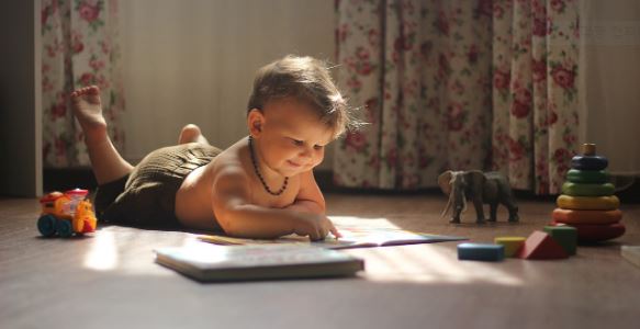 몬테소리 발도르프