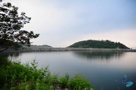 요즘 핫한 가평 뷰맛집 여행코스 (호명호수, 아침고요수목원, 드라이브)