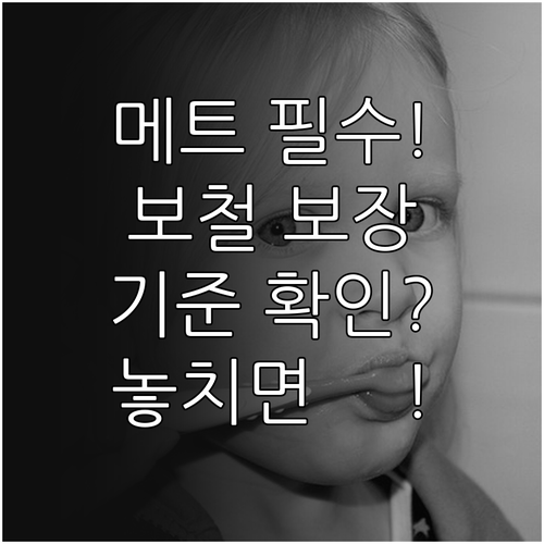 영구치 발치 기준 메트라이프 치아보험..