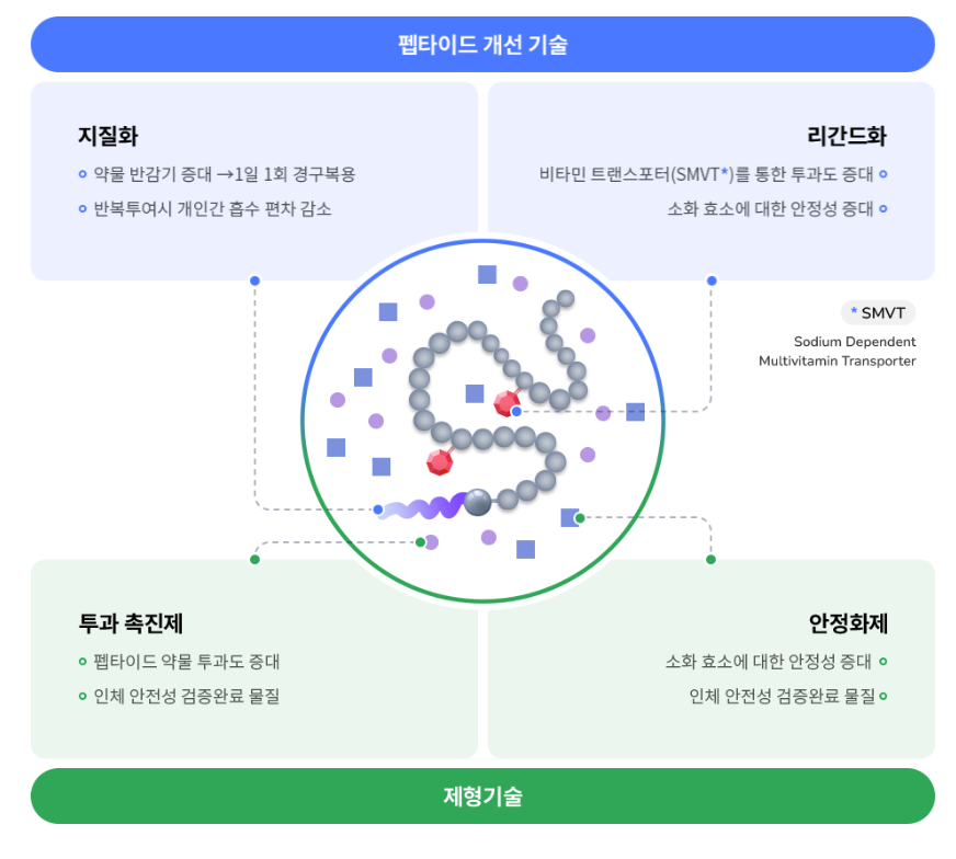 디앤디파마텍-펩타이드-기술