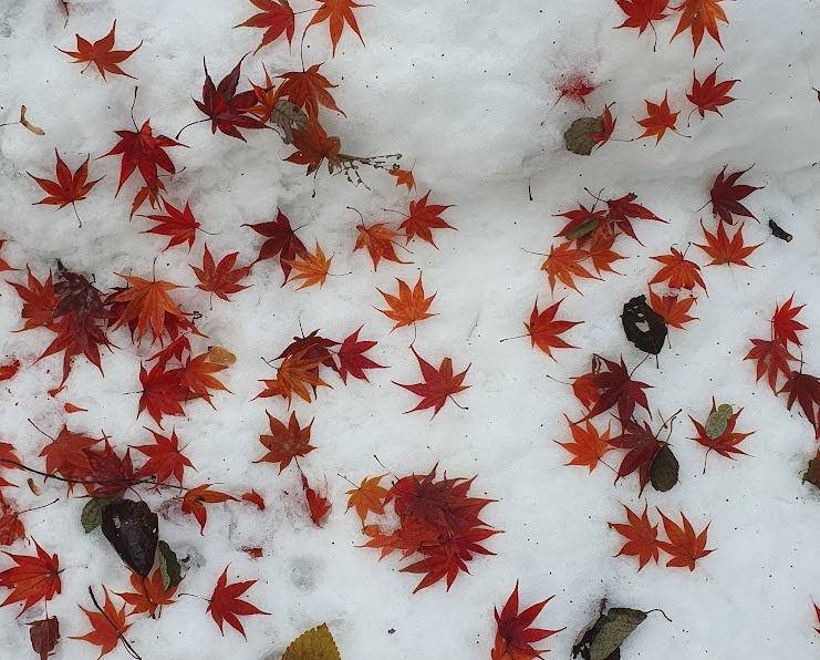 맨발 걷기 전 후에 발에 생기는 변화와 관리 방법