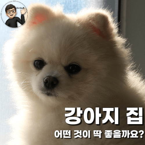 그윽하게 바라보는 강아지