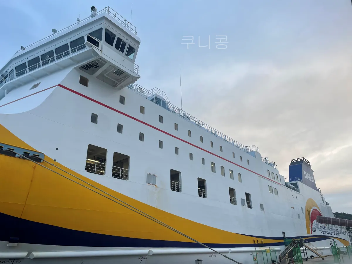 울릉도-2박3일-가족여행-후포항-울릉썬플라워-크루즈-차량선적-배편가격-발권꿀팁