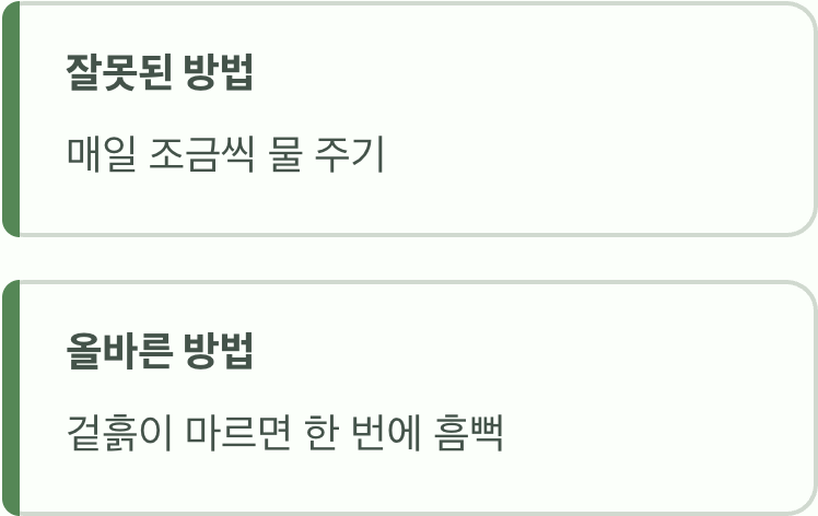 물주기의 황금률&amp;#44; &amp;#39;겉흙이 마르면 흠뻑&amp;#39;