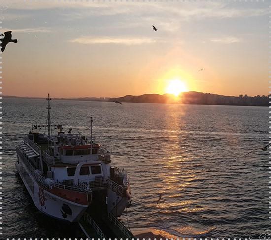 [수능 특급 할인] 🌊 인천 월미바다열차&amp;#44; 수험표 제시 시 본인 포함 3명 반값! (11/13~12/10&amp;#44; 평일 한정) 바다 전망 힐링 코스 총정리