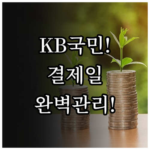지출 관리 최적화를 위한 KB국민카드..