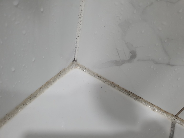 타일-줄눈에-생긴-곰팡이