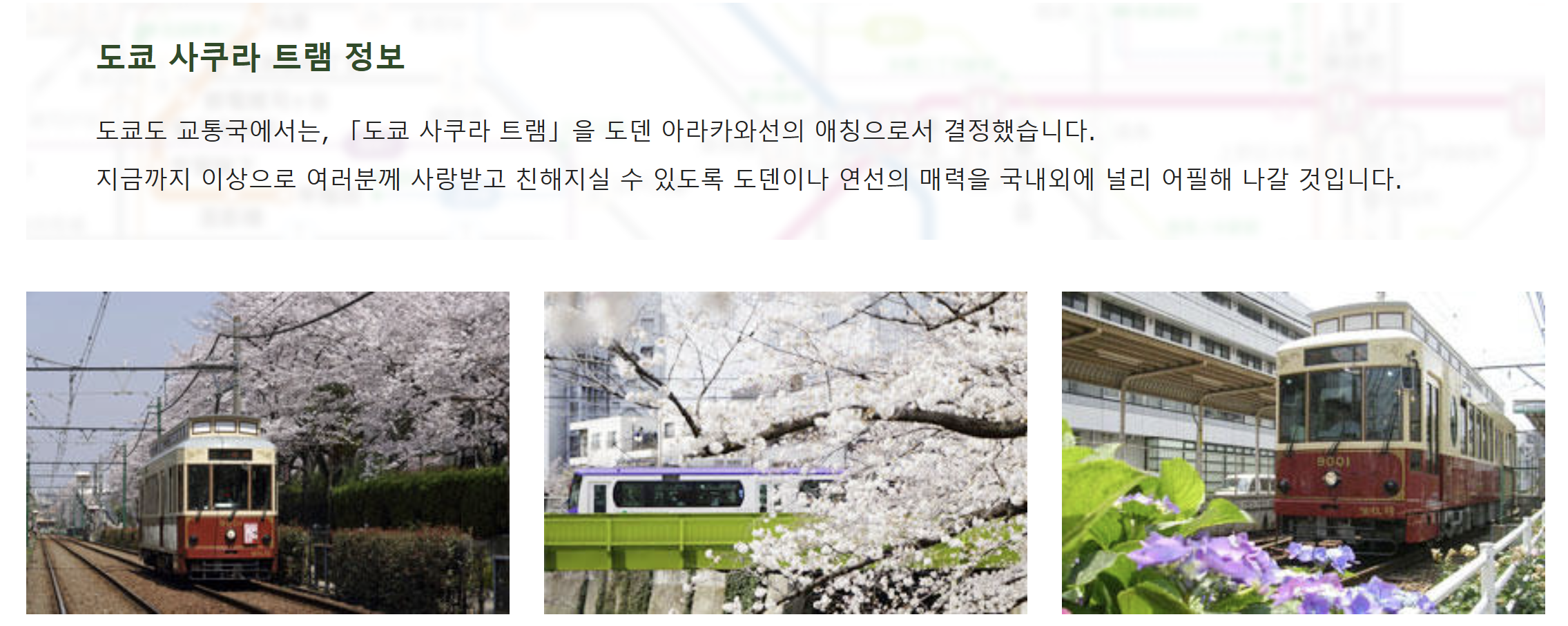 트램 여행의 매력2