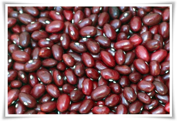 텃밭 "5월, 동부콩 심으세요!" 텃밭의 숨은 보석 알고보면 매력 덩어리!