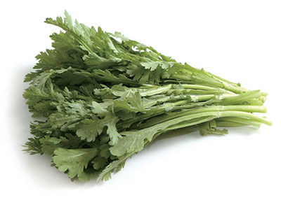 쑥갓의 종류와 특징