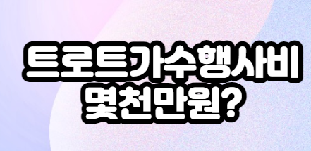 트로트가수-행사비