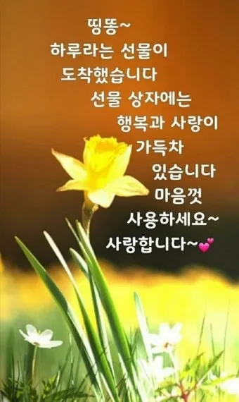 인생 교훈 아침 글귀 마음챙김 습관 은퇴 준비 하루를 따뜻하게 여는 한줄_27