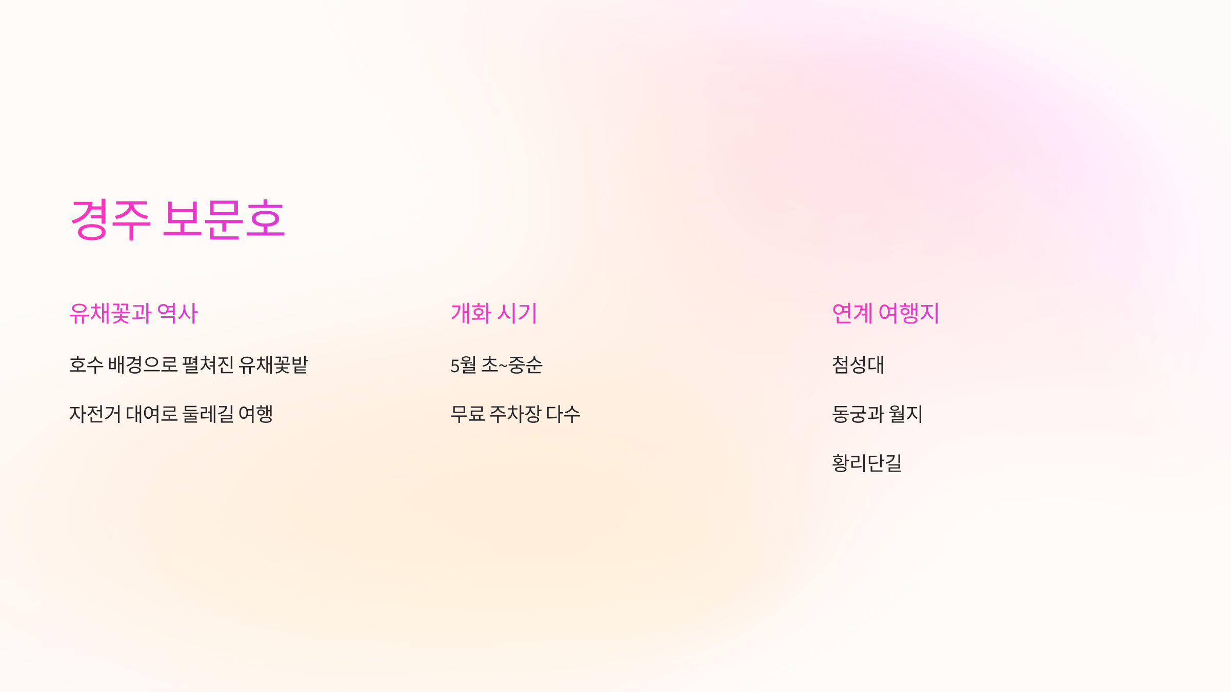 경주 보문호 유채꽃 봄꽃 명소