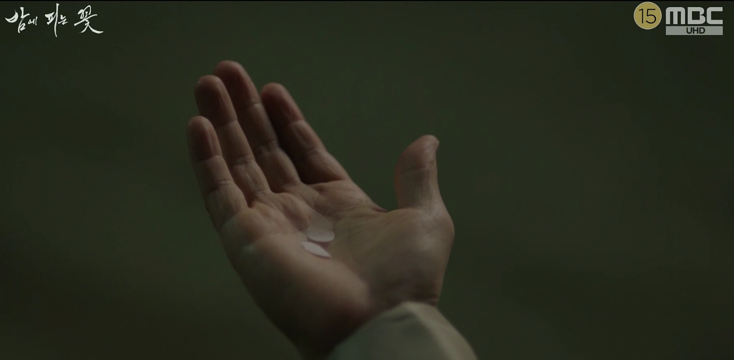 밤에 피는 꽃 5회