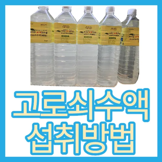 50~60대 고로쇠수액 효능 가격 지리산 화개깊은골 고로쇠수액 섭취방법 맛