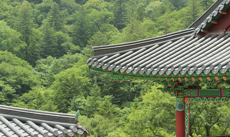 용문사 템플 스테이에서의 특별한 사찰 여행과 할인 팁에 관한 사진