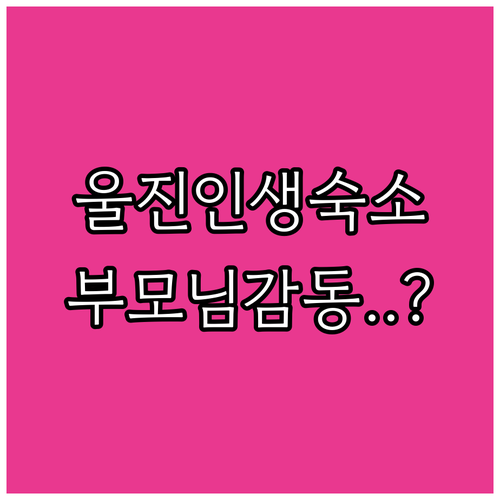 부모님 효도 여행이나 연인과 가기 좋..