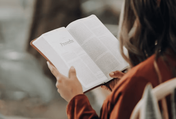 11월 서울 팝업! 젤리캣&middot;위키드 실내 나들이 TOP 3 