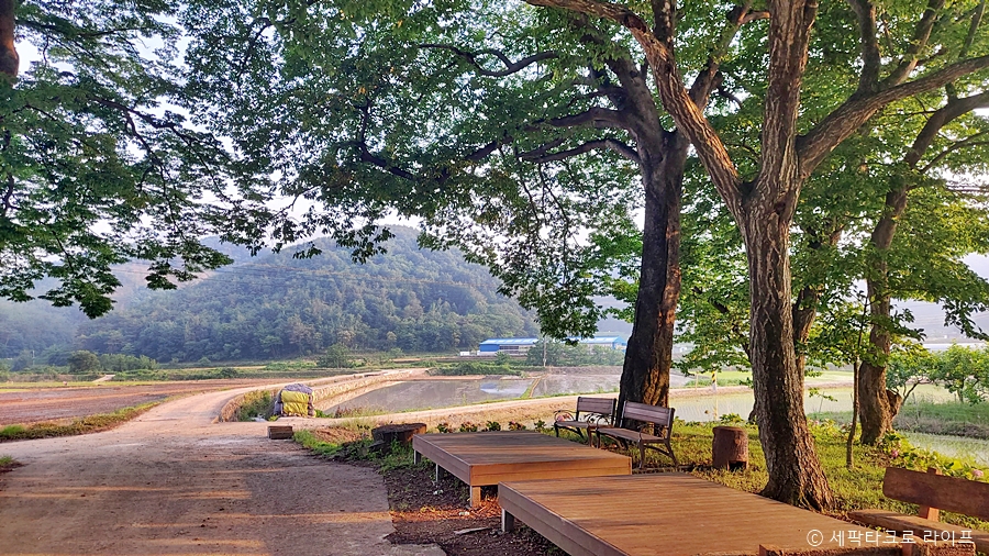 장산숲