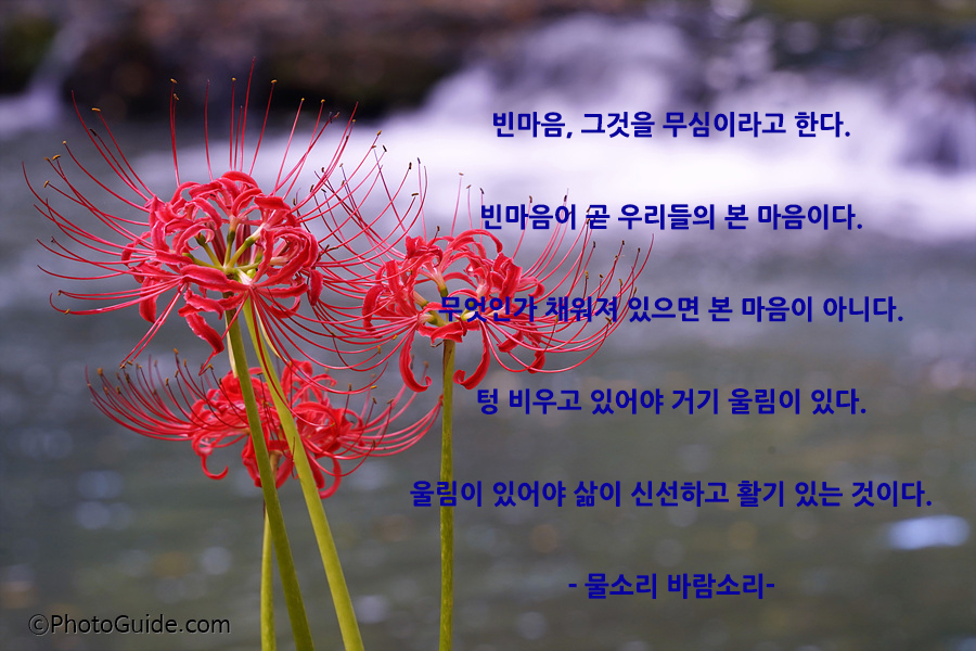 법정스님명언