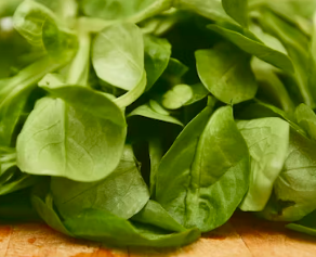 비타민E가 많은 음식