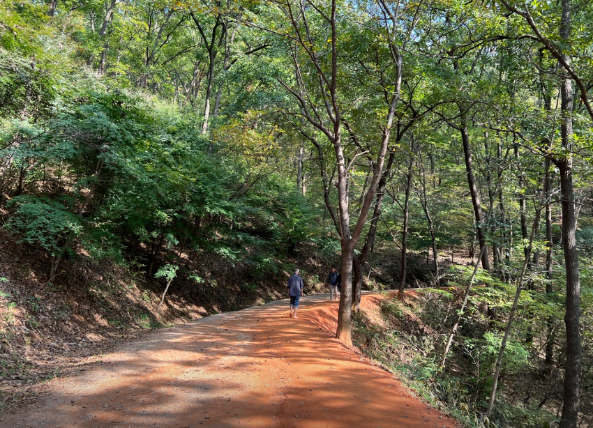 계족산 황톳길6