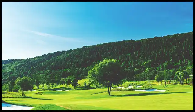 파크골프채 가격 추천 (혼마, 피닉스, 미즈노)