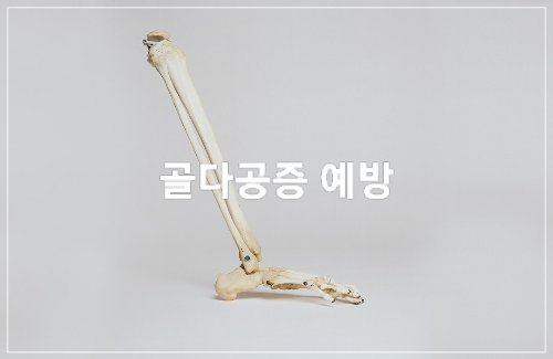 골다공증 예방