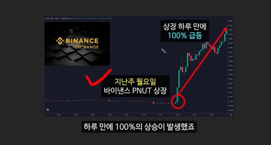 일론 머스크의 충격 발언과 도지코인, 플로키코인, 위프코인, 피넛코인, 프레드 코인의 강력한 상승 가능성 분석