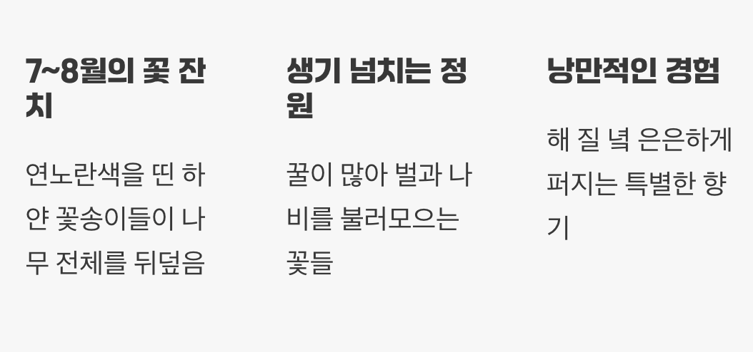 여름밤의 선물, 은은한 꽃향기