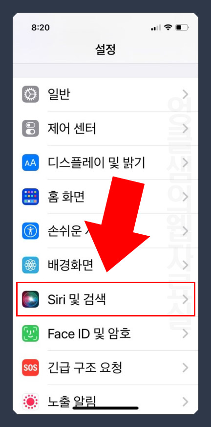 Siri 및 검색