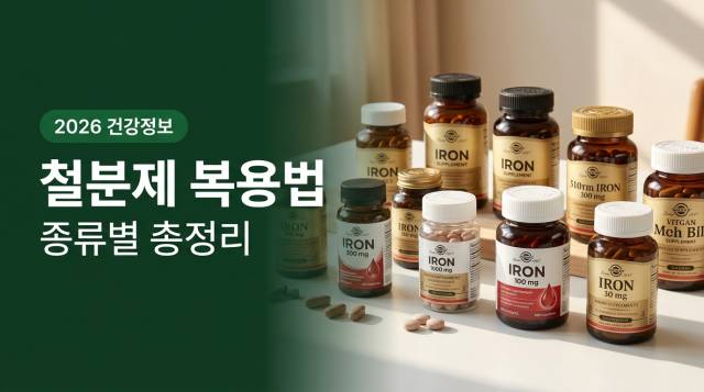 철분제 종류와 복용법 총정리 썸네일