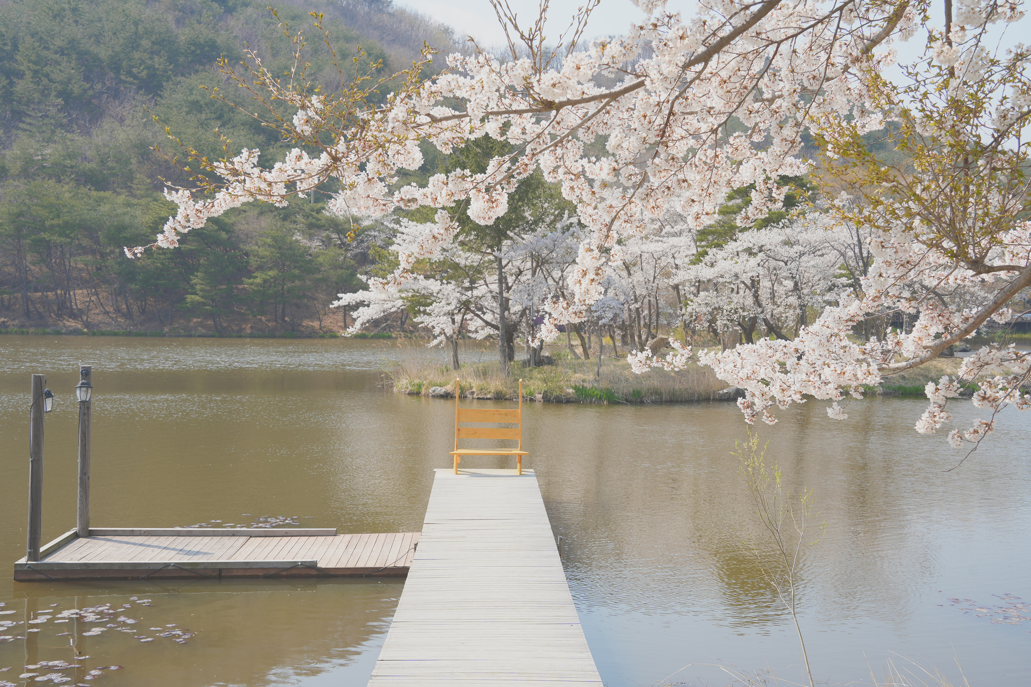 경주 화랑의 언덕 관련사진 4