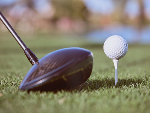 우드샤프트 및 로프트