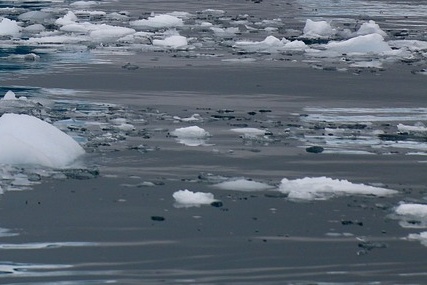 서울시 긴급복지 생계지원금 신청방법 핵심정보 완벽 가이드!