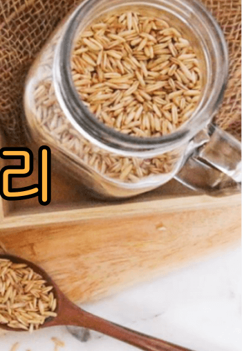 혈당_GI지수_낮은_ 쌀