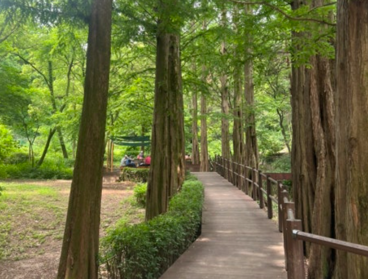 청계산 등산코스