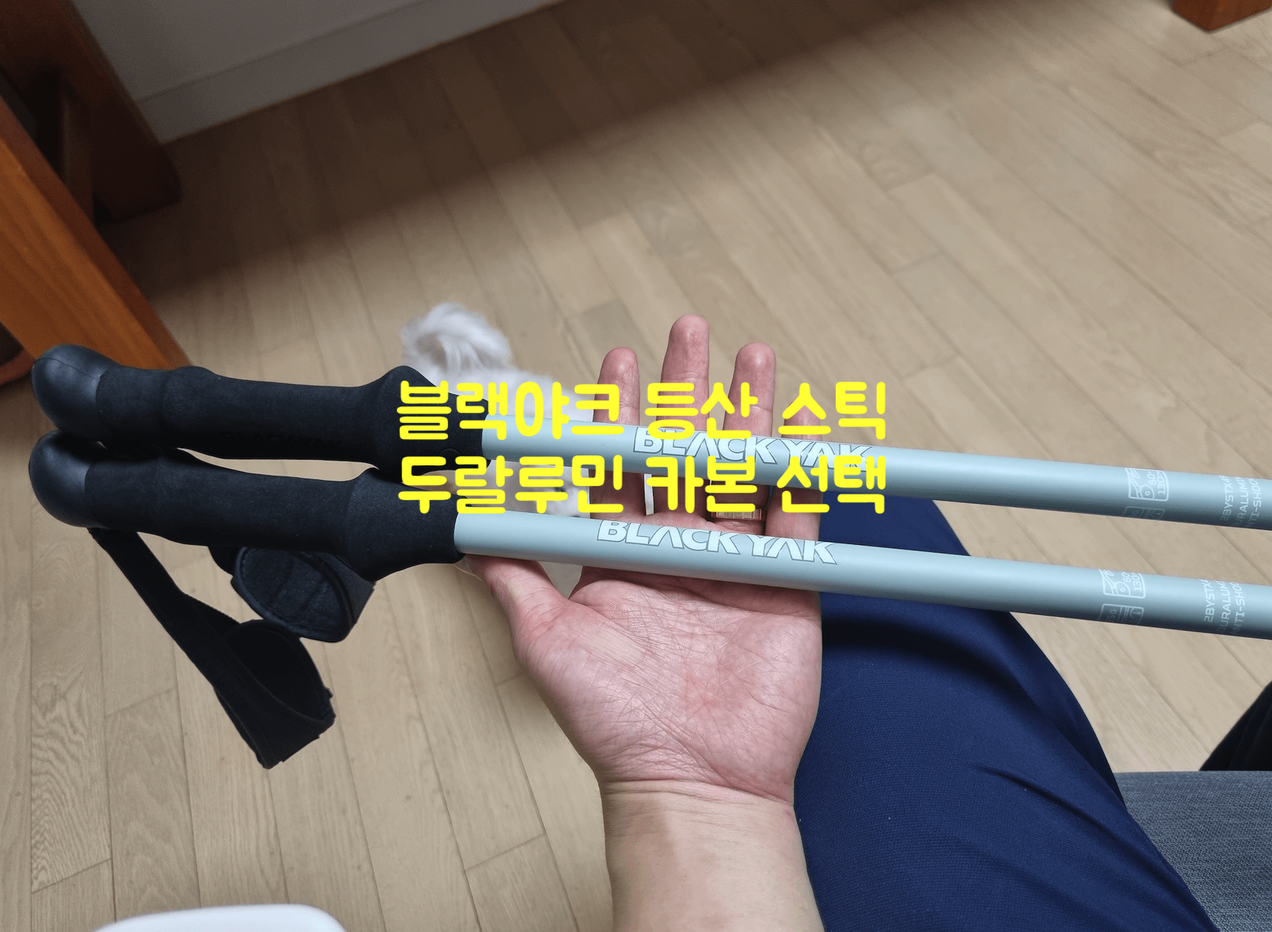 블랙야크 등산 스틱