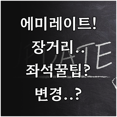 에미레이트 장거리 비행기 좋은 좌석 ..